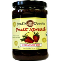 Brad's Organic Strawberry Fruit Spread 