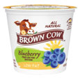 Brown Cow  Low Fat  Blueberry