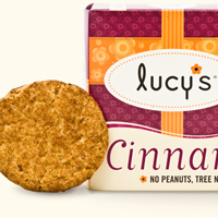 Dr. Lucy's Cinnamon Thin