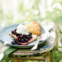 Blueberry Almond Shortcake